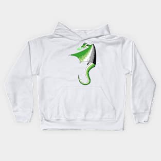 Fly With Pride, Dragon Series - Aromantic Kids Hoodie